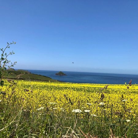 Little Valley View Otterham 外观 照片
