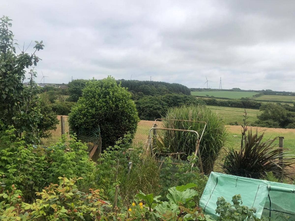 Little Valley View Otterham 外观 照片