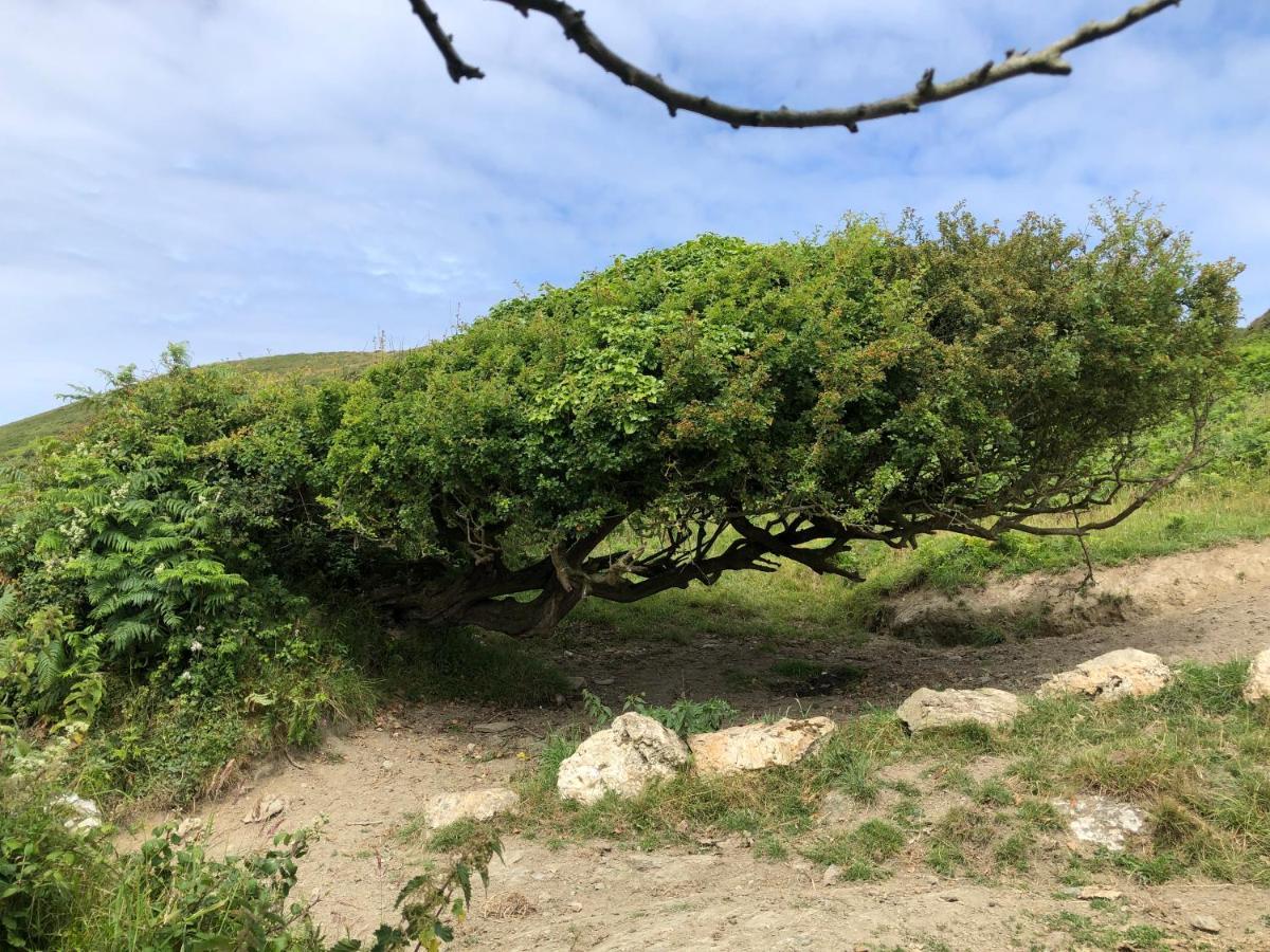 Little Valley View Otterham 外观 照片