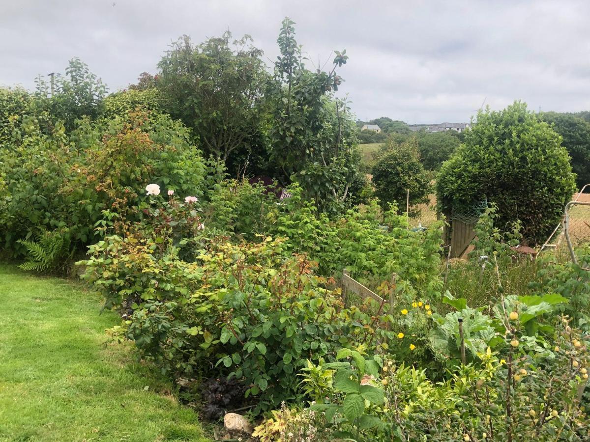 Little Valley View Otterham 外观 照片